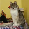 Отзыв от Василиса Панкратова